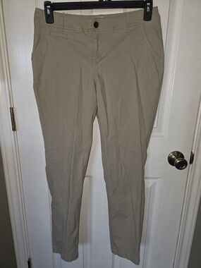 AnyBody Straight Leg Pants in Tan